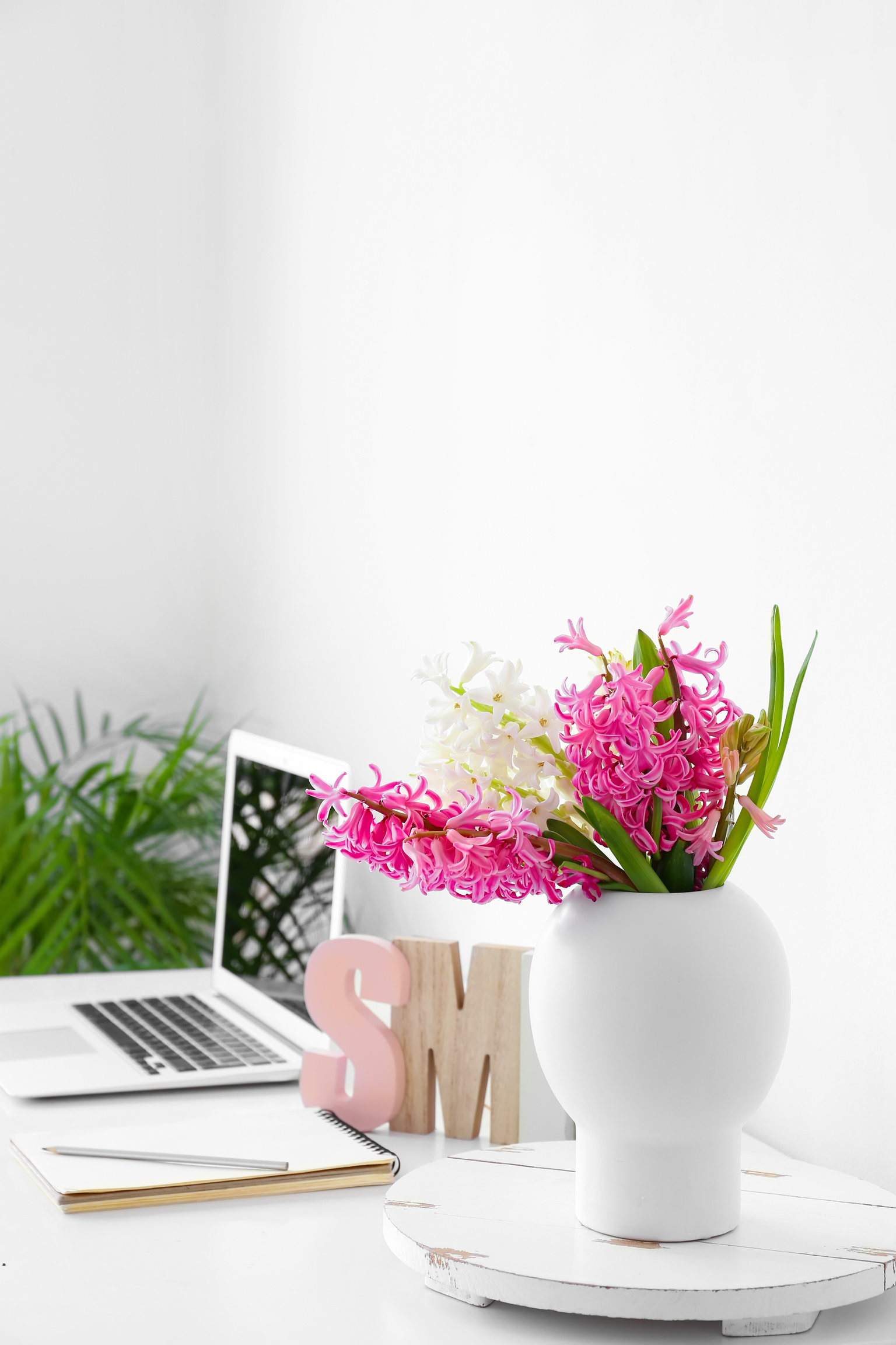 Beautiful Hyacinth Flowers on Table with Modern Laptop near White Wall